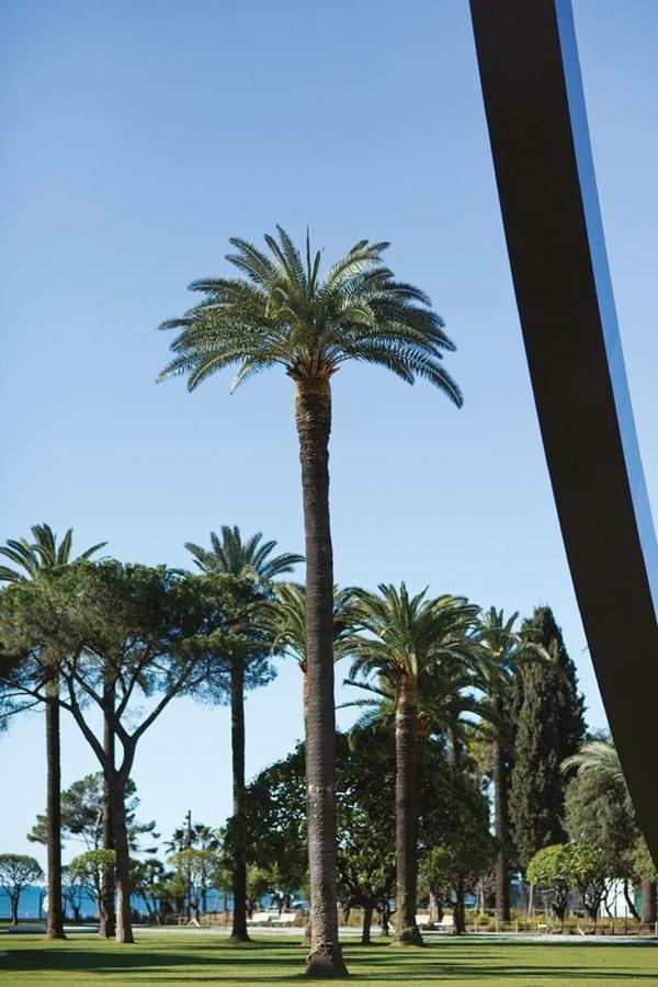Centrale 2 - F4 Spacieux Et Confortable Au Centre Du Vieux-Nice Apartment Bagian luar foto